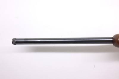 Ruger 77 17 77/17 17 WSM 20