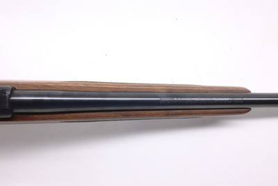 Ruger 77 17 77/17 17 WSM 20
