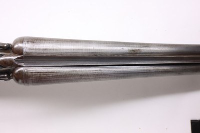 Ithaca Side by Side Hammer Crass New Ithaca Gun 10ga 30