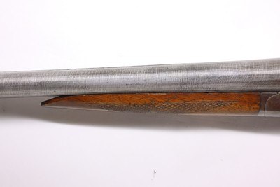 Ithaca Side by Side Hammer Crass New Ithaca Gun 10ga 30