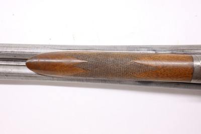 Ithaca Side by Side Hammer Crass New Ithaca Gun 10ga 30