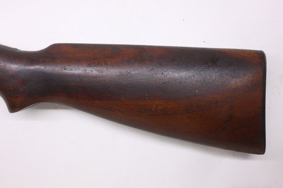 Savage Model 25 pump 24