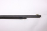 Savage Model 25 pump 24
