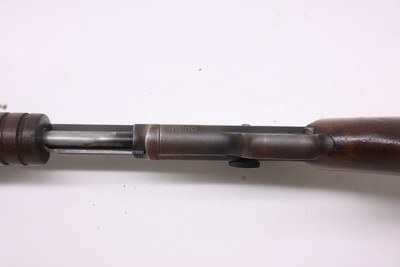 Savage Model 25 pump 24