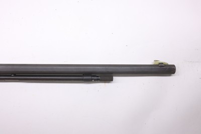 Savage Model 25 pump 24