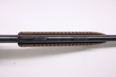 Savage 29B 29 pump 24