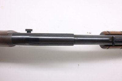Savage 29B 29 pump 24