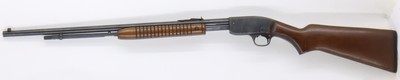 Savage 29B 29 pump 24