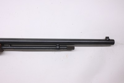 Savage 29B 29 pump 24