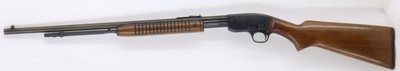Savage 29B 29 pump 24