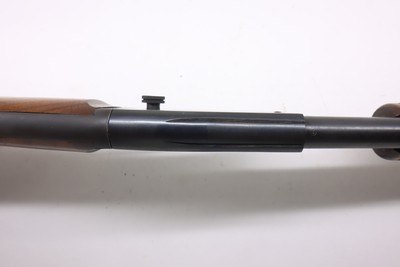 Savage 29B 29 pump 24