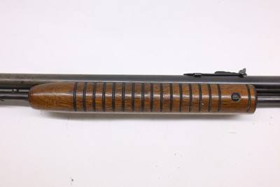 Savage 29B 29 pump 24