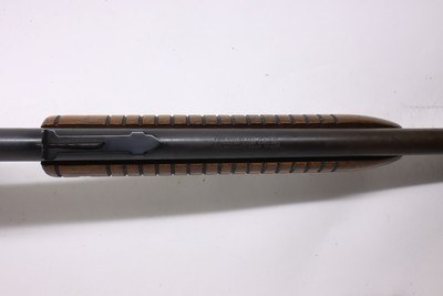 Savage 29B 29 pump 24