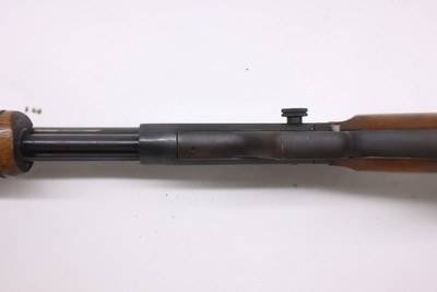 Savage 29B 29 pump 24