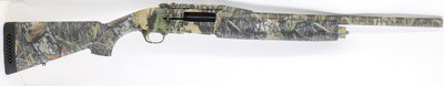 Browning Gold Deer Hunter 12ga 22