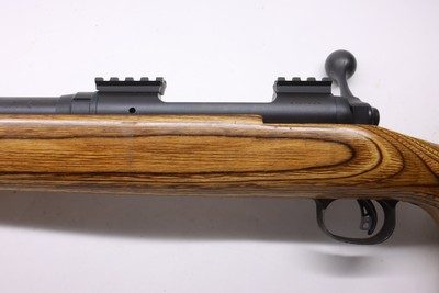 Savage Model 10 Varmint Laminated 223 Rem 22