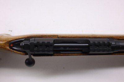 Savage Model 10 Varmint Laminated 223 Rem 22