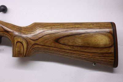 Savage Model 10 Varmint Laminated 223 Rem 22