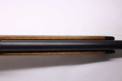 Savage Model 10 Varmint Laminated 223 Rem 22