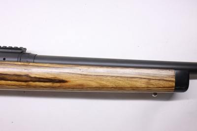 Savage Model 10 Varmint Laminated 223 Rem 22
