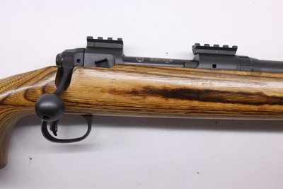 Savage Model 10 Varmint Laminated 223 Rem 22