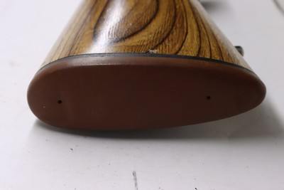 Savage Model 10 Varmint Laminated 223 Rem 22