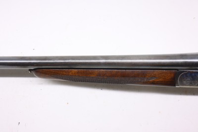 UgartecheaParker Hale 20ga 28