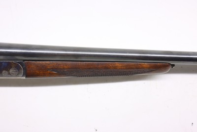 UgartecheaParker Hale 20ga 28