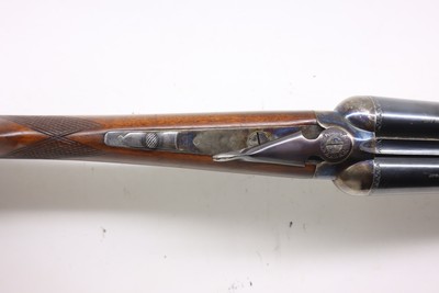 UgartecheaParker Hale 20ga 28
