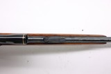 BSA Armatic 22LR 20