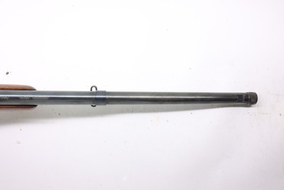 BSA Armatic 22LR 20