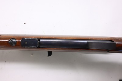 BSA Armatic 22LR 20
