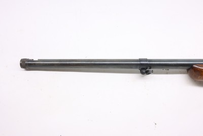 BSA Armatic 22LR 20