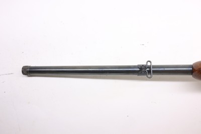 BSA Armatic 22LR 20