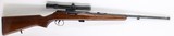 BSA Armatic 22LR 20