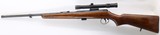 BSA Armatic 22LR 20