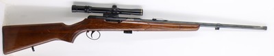 BSA Armatic 22LR 20