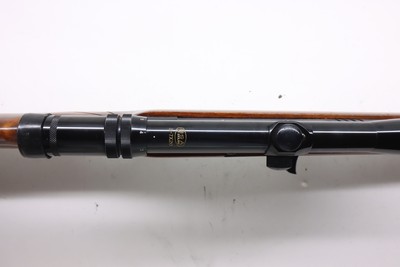 BSA Armatic 22LR 20