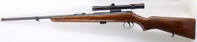 BSA Armatic 22LR 20