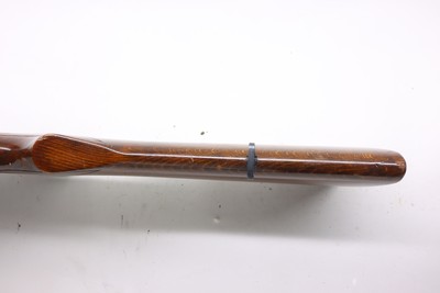 BSA Armatic 22LR 20
