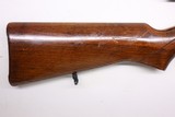 BSA Armatic 22LR 20