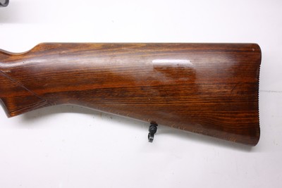 BSA Armatic 22LR 20