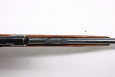 BSA Armatic 22LR 20