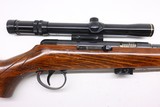 BSA Armatic 22LR 20