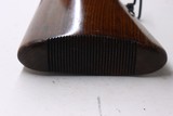 BSA Armatic 22LR 20