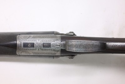 Army & Navy English Sidelock Hammer 12ga 28