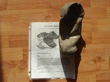 SUPER RARE GETTYSBURG BATTLEFIELD PICK-UP OF A BROGDAN SHOE - 1 of 4