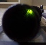 Civil War Imported for NJ French / Belgian M1859 Short / Pondir Rifle - 9 of 11