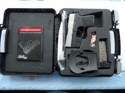 P290 2 TONE SUB-COMPACT 9MM PISTOL