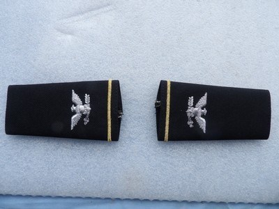 Vintage United States Army Colonel (0-6)Rank Insignia Shoulder Marks - Image 3 of 4